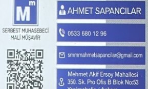  Mali Müşavir